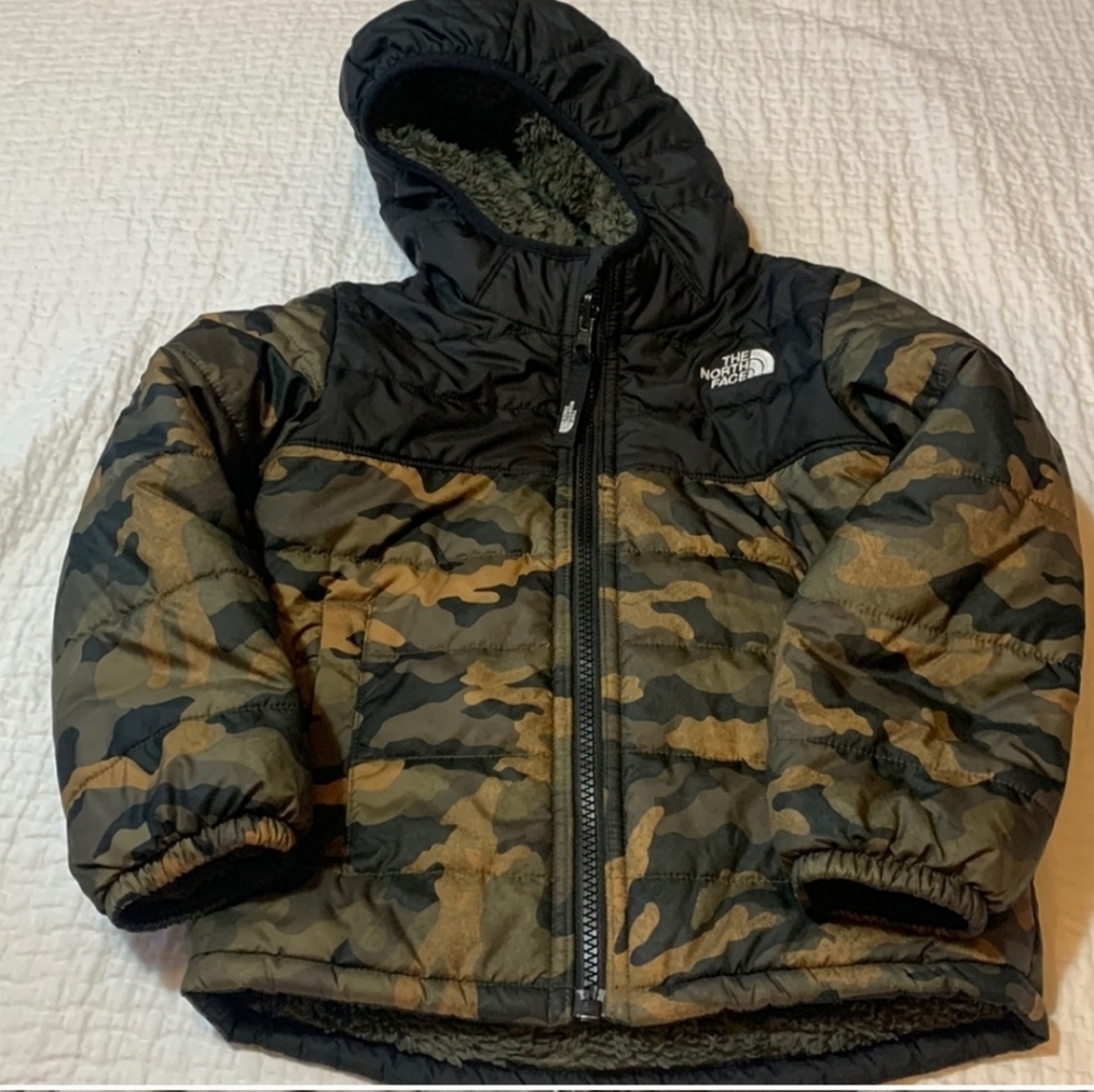 The north face coat